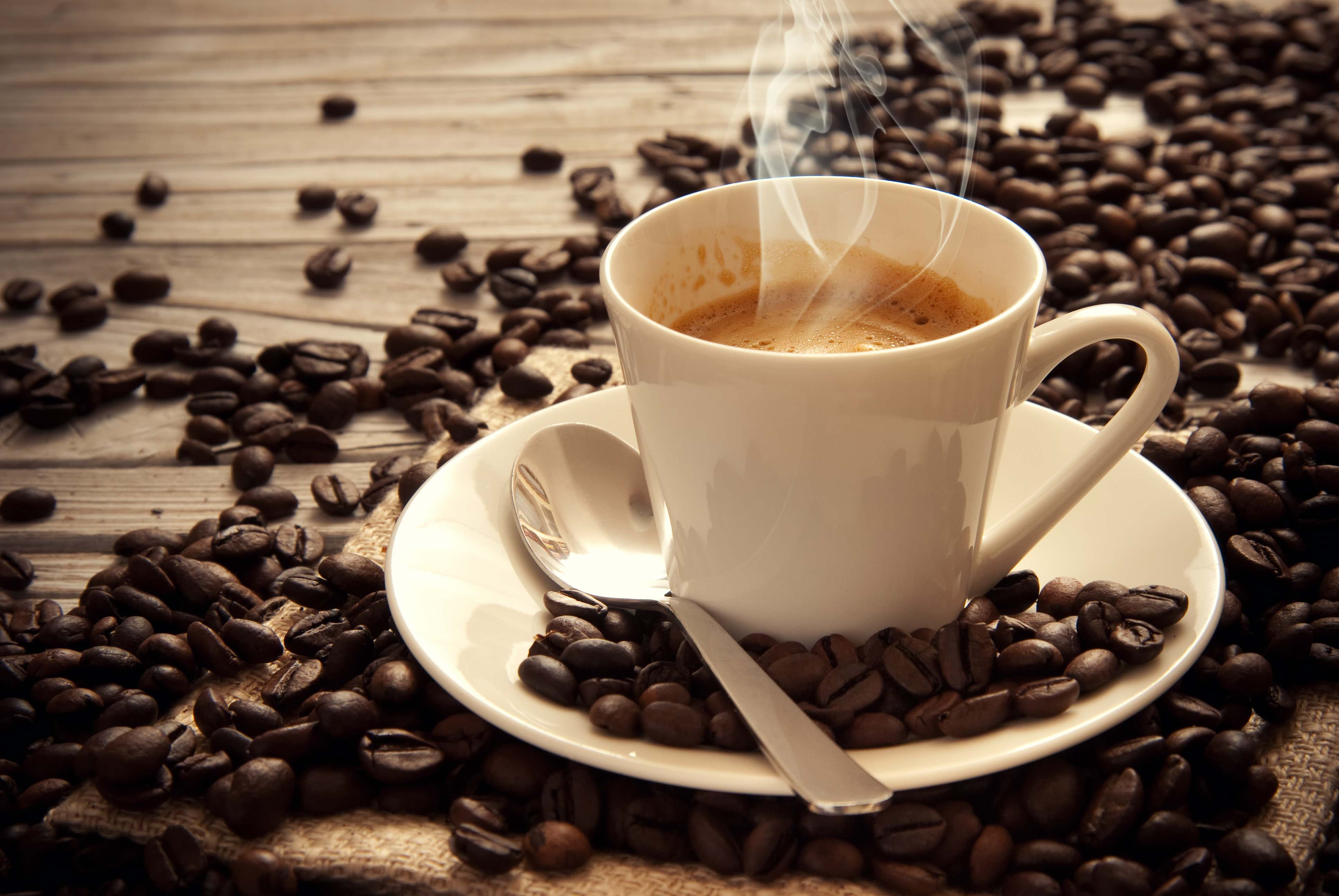 so sánh các thương hiệu cafe nhượng quyền