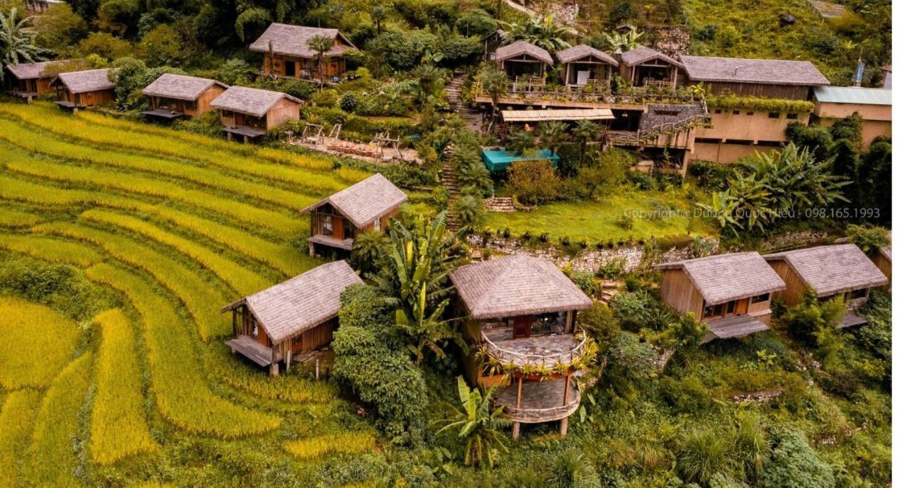 Eco palm house Sapa