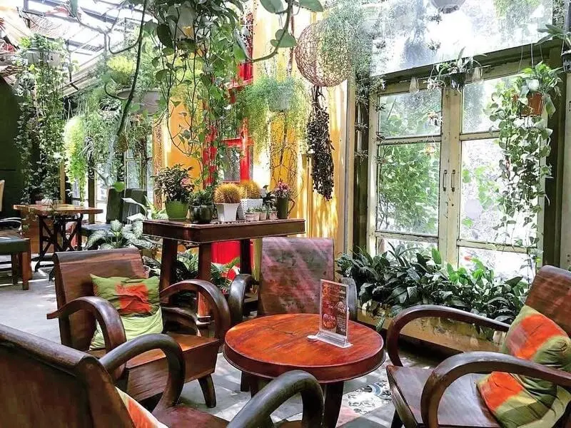 quán Cafe sân vườn ohi 