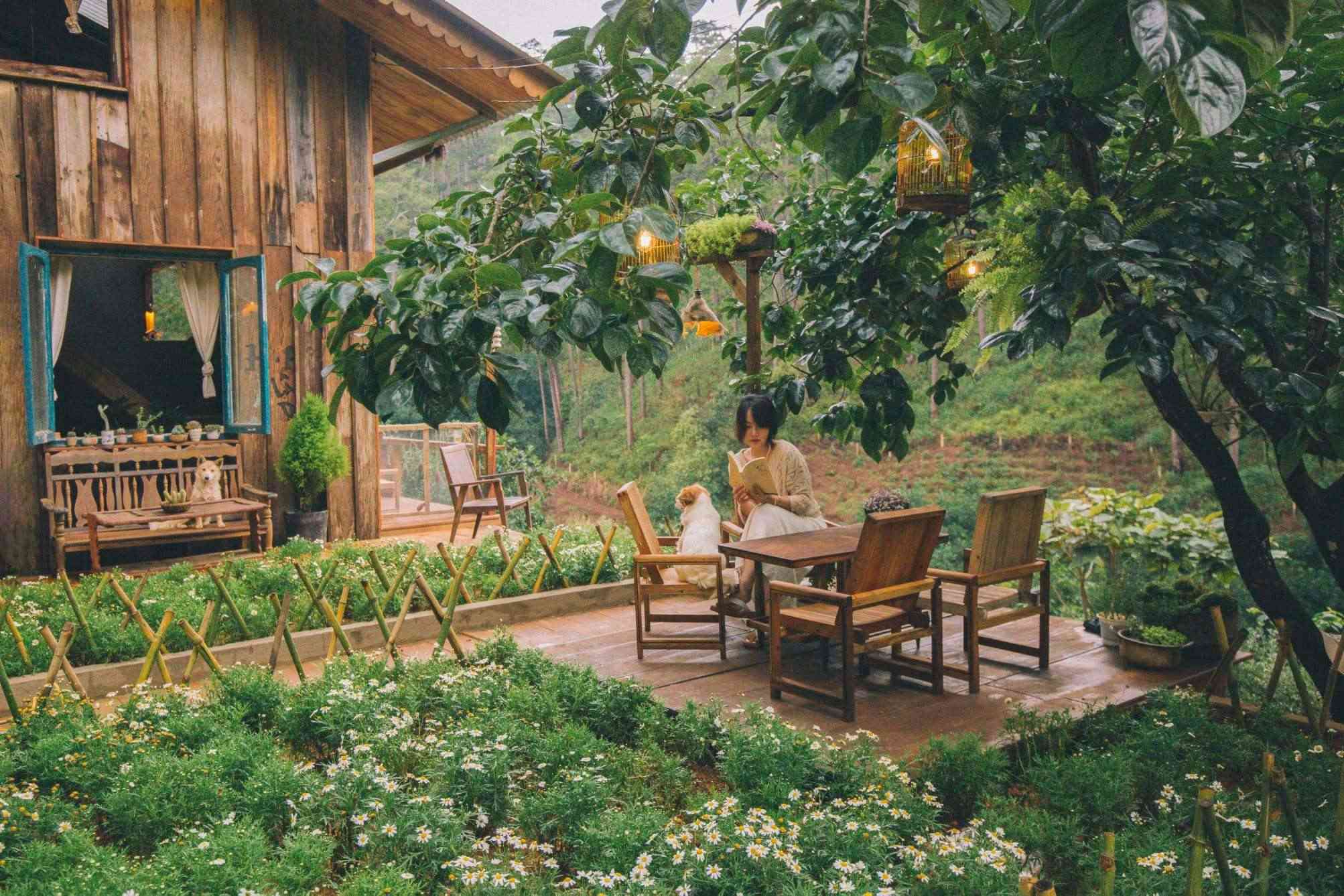 Cafe Lưng Chừng